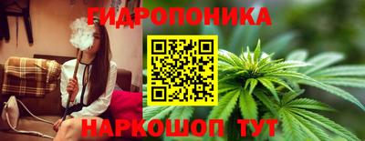 хмурый Абакан