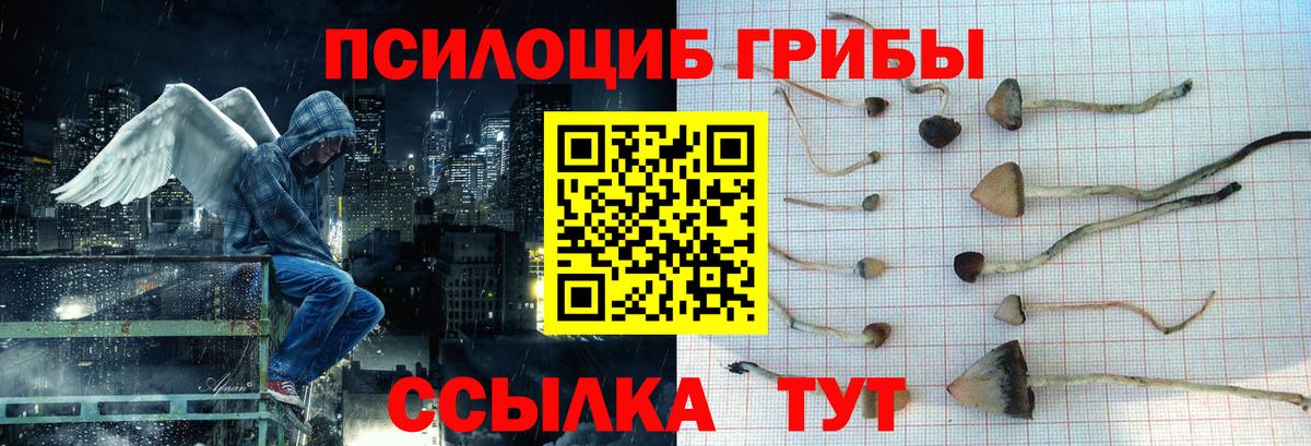 Псилоцибиновые грибы мухоморы  Вход с VPN  Россия 